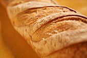 Batard-Brot aus Frankreich