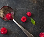 A fresh raspberry on a silver spoon