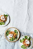 Vegetarian carrot and almond tartar on young spinach