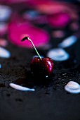 One Red Cherry with Stem and Water Drop on White