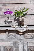 Purple-flowering orchid in glass vase on wooden shelf outside