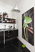 Large photo of chameleon in black kitchen with shelving and tiled floor