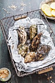Fresh oysters on a piece of newspaper in a wire basket