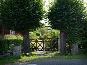View from street towards rustic wooden garden gate flanked by trees with spherical crowns