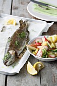 Oven-roasted trout with dill and an apple and radish salad