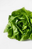A lettuce on a white surface