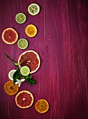 Slices of citrus fruit