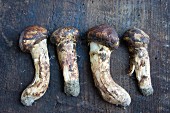 Four fresh matsutake mushrooms