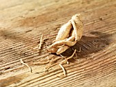 Ginseng on a wooden surface