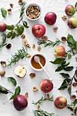 Äpfel, Honig, Walnüsse und Rosmarin (Zutaten für Apfelkuchen)