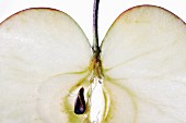 An apple slice (close-up)
