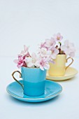 Purple and white flowers in colourful antique mocha cups with saucers