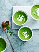 Pea soup with mint and creme fraiche