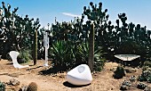 White modern outdoor furniture in landscape with large cacti under blue sky
