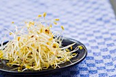 A plate of bean sprouts