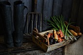 Karotten und Lauch in Gemüsekiste