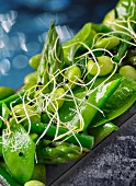 Grüner Gemüsesalat mit Spargel, Zuckerschoten, Bohnen und Sprossen (Close Up)