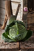 A rustic arrangement featuring a savoy cabbage