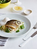 Fish with fennel and lemon