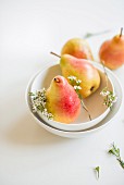 Barlett pears and white flowers in a bowl
