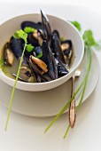 Steamed mussels in a white wine broth