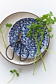 Parsley and coriander on a plate with scissors