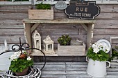 White geraniums in pot and vintage jug on weathered wooden surface in front of shelves of decorative lanterns