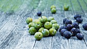 Greengages and damsons