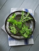 Herbs on a metal plate
