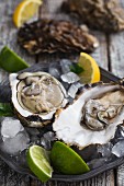 Fresh, raw oysters with slices of lemon and lime