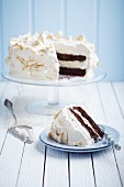 Chocolate layer cake with a meringue topping