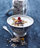 Muesli with dried fruits and berries
