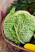 Savoy cabbage and courgettes in a vegetable basket