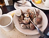 Steamed littleneck clams