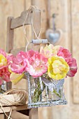 Gelbe & rosafarbene Tulpen der Sorte Upstar aufgehängt in Vasenhalter aus Draht