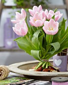 Aufgeblühter Tulpenstrauss mit rosafarbenen Tulpen der Sorte Tulipa Gabriella