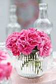 Dianthus in glass vase