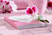 Buch dekoriert mit Pelargonienblüte