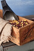 Dried beans in a wooden box with a scoop