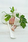 A bulb of garlic and a garlic clove with parsley on a wooden surface