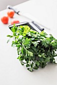 Fresh parsley on a white kitchen table with three tomatoes and a knife