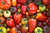 Verschiedene Heirloom Tomaten (Draufsicht)