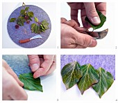 Making place mats from felt and ivy leaves