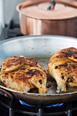 Chicken halves in a pan