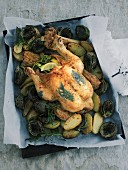 Rosemary chicken with potatoes and artichokes on a baking tray