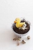 Easter biscuits and quail's eggs in an Easter nest