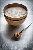 Buckwheat flour and a spoon of buckwheat grains
