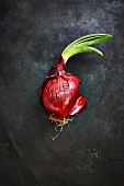 A red onion (seen from above)