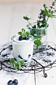 Yoghurt with blue grapes and mint
