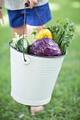 A boy holding a bucket of mixed vegetables